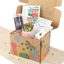Holiday Gift Box - 1 Succulent 1 Sparkler 1 Confetti Popper &amp; 1 Jewelry