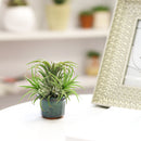 octagon clay mini air plant holder, retro-design air plant holder, buy air plant holder online, air plant pot for sale, mini clay pot for succulents