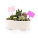 plant labels, plant tags, succulent tags, rectangle plant tag with a smiley face, smiley face gardening accessories, yellow plastic plant labels