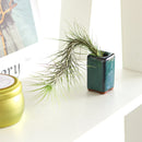 clay mini air plant pot, mini clay pot for air plant, small container for air plants and succulents, buy tiny pot for air plant online, air plant pot with drainage hole, retro-design clay pot, vintage pottery for sale