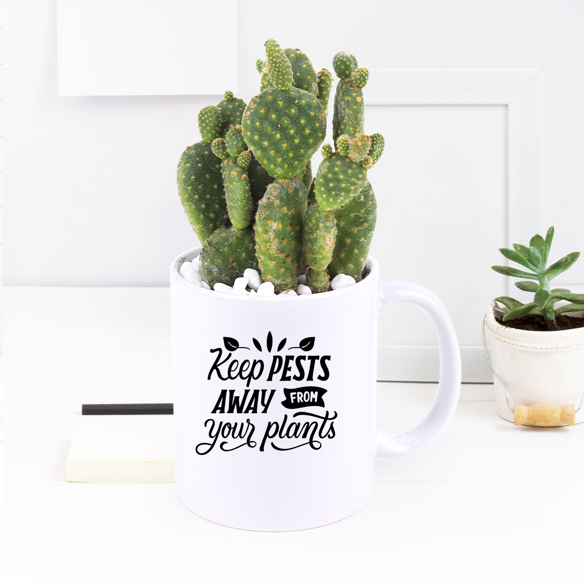 plant pot with photo Custom Ceramic Pot from Photos | Personalized Photo Planter Gift
