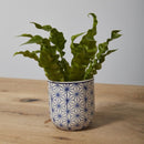 Decorative Houseplant Pot for Sale Online
