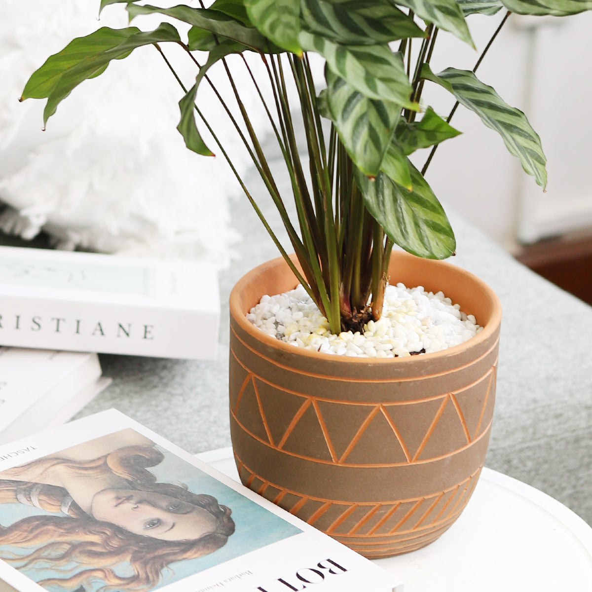 Geometric Pattern Pot for sale, 5.5 inch Geometric Pattern Pot, terracotta pot for sale