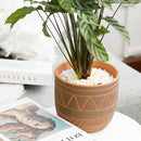 Large Clay Planter With Drainage for sale online, Terracotta planters for succulent cactus and flower, Unique birthday gift for plant lovers