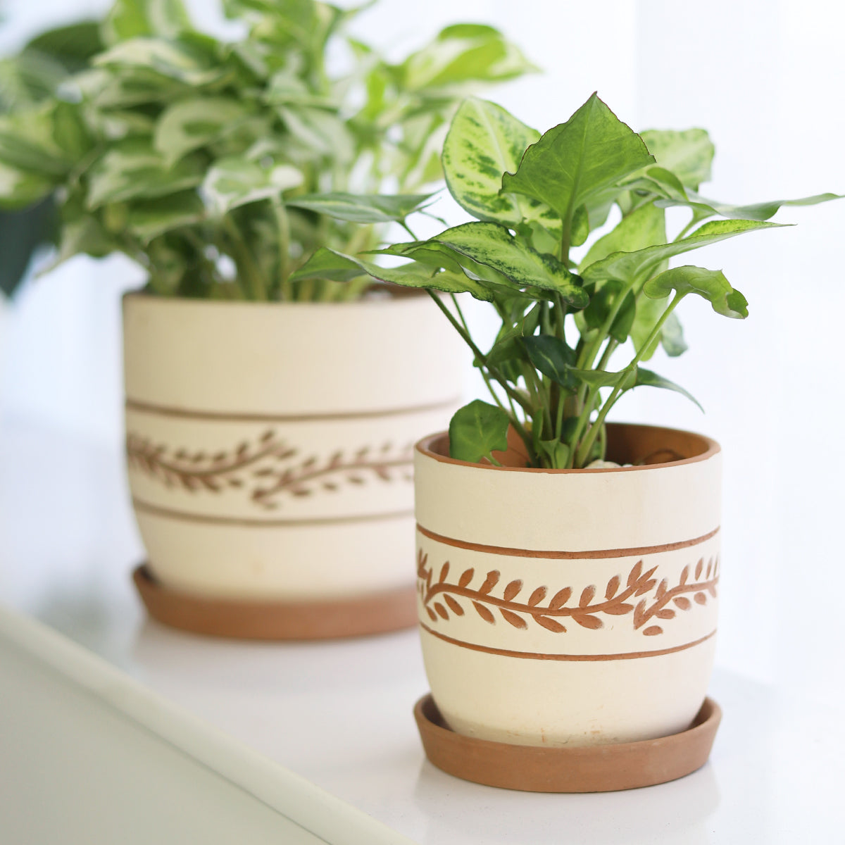 white plant pots for sale White Clay Horizontal Leaf Pattern Pot - Terracotta Planter for Succulent & Flower