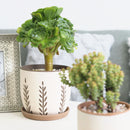 indoor terracotta planter, indoor terracotta planter for sale, buy indoor terracotta planter online, indoor terracotta planter for succulents and houseplants