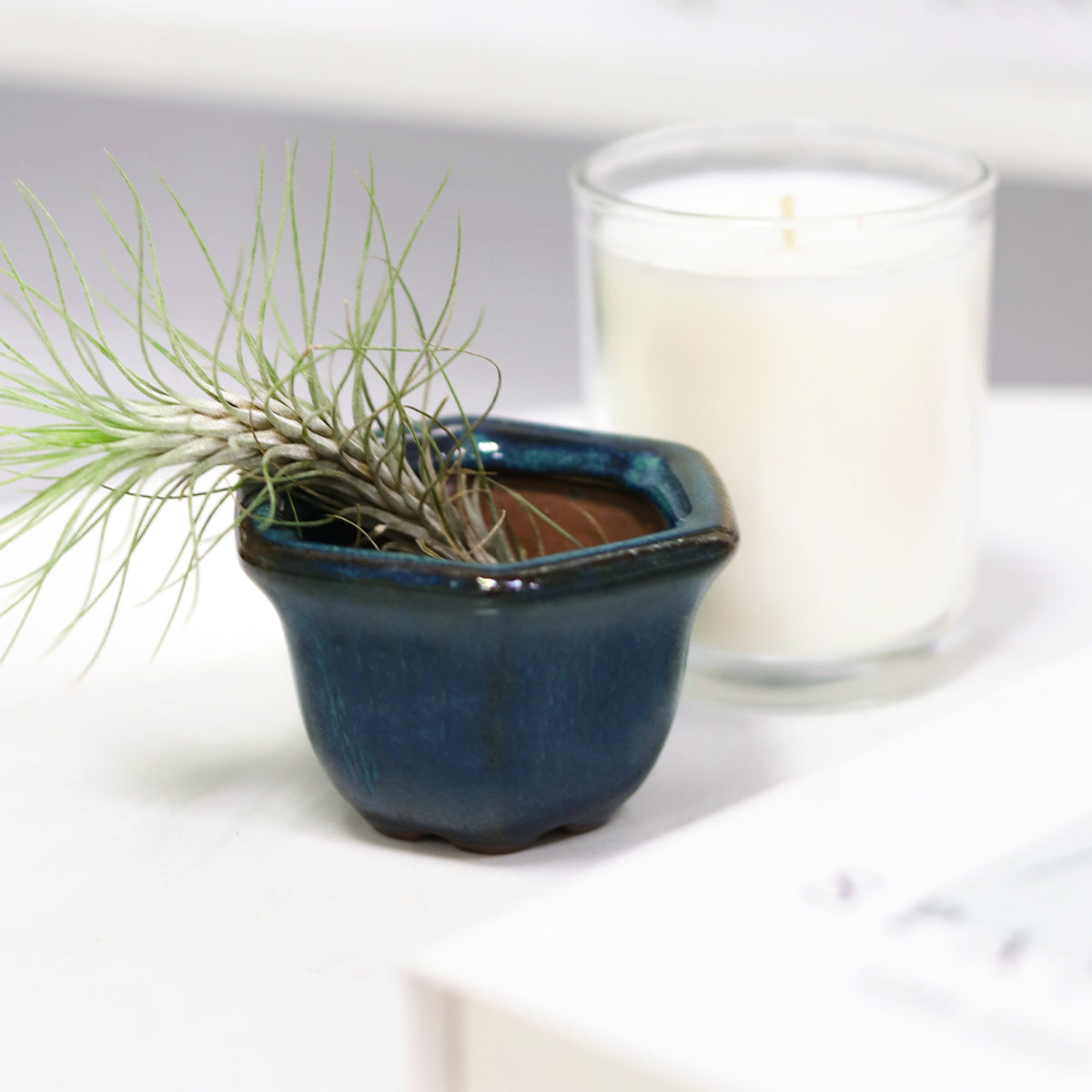 clay air plant holder Retro Green Hexagon Glazed Clay Mini Air Plant Holder - Air Plant Pots