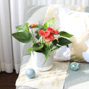 anthurium care indoor, how to care for anthurium, Anthurium Red, red Anthurium in ca, best indoor flowering plants, outdoor flowering plants, flamingo flower, anthurium plants