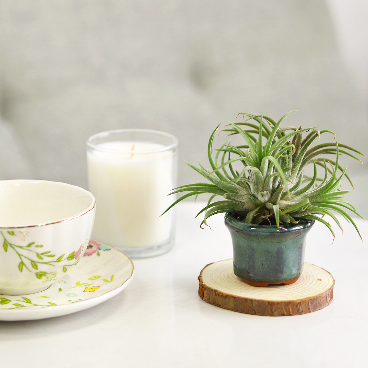 octagon clay mini air plant holder, retro-design air plant holder, buy air plant holder online, air plant pot for sale, mini clay pot for air plants and small succulents, compact-design air plant pot