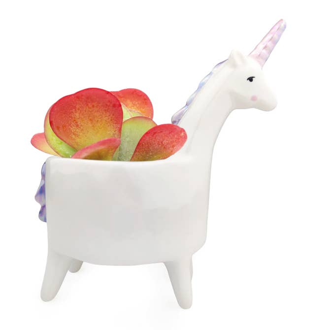 Unicorn White Ceramic Pot for succulent plants, Buy small ceramic pot online, Succulent gift ideas, Unique succulent home decoration