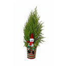 Lemon Cypress Cone Mini Christmas Tree with Snowman Decoration, Holiday Evergreen Decor, Unique Holiday Gift Ideas