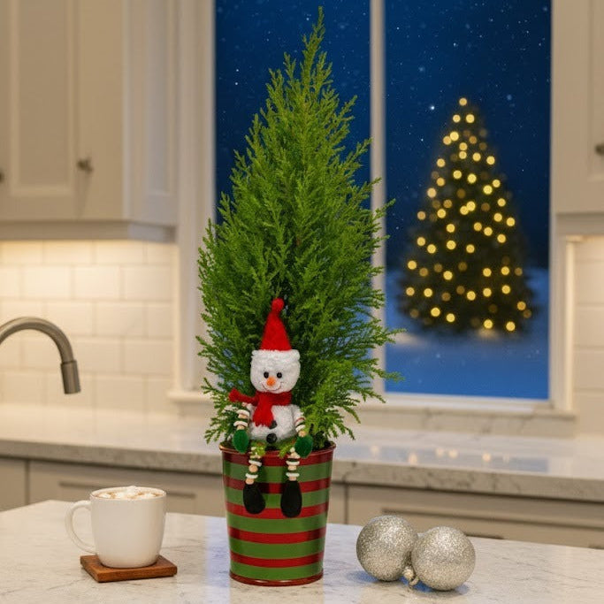 Lemon Cypress Cone Mini Christmas Tree with Snowman Decoration, Holiday Evergreen Decor, Unique Holiday Gift Ideas