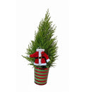 Scented holiday plant gift, Buy mini Santa Christmas tree online, Lemon Cypress Cone Mini Christmas Tree with Mr. Claus decoration