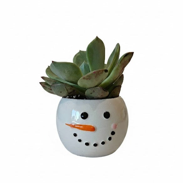Adorable Snowman Mini Succulent Planter, Desk Size Winter Décor, Mini Holiday Succulent Gift, Small 2-inch succulent holiday decor