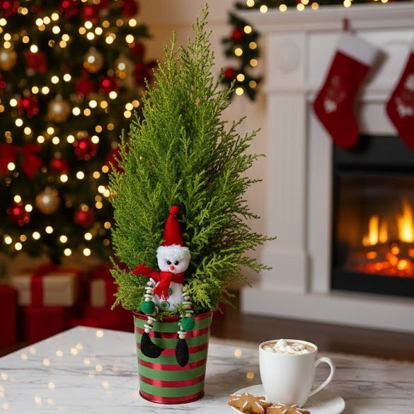 Lemon Cypress Cone with Snowman decoration, Potted holiday plant with snowman, Live small Christmas tree gift