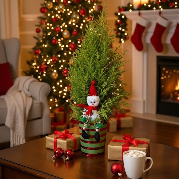 Miniature snowman Christmas tree plant, Potted Christmas Tree Snowman for sale online, Holiday Evergreen Decor, Unique Holiday Gift for Family Friends