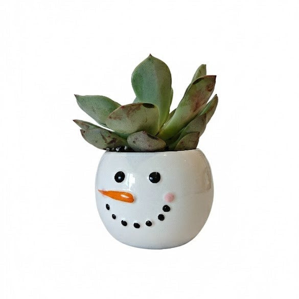 Tiny Tot Snowman Planter with Live 2-inch Succulent, Mini Holiday Succulent Gift