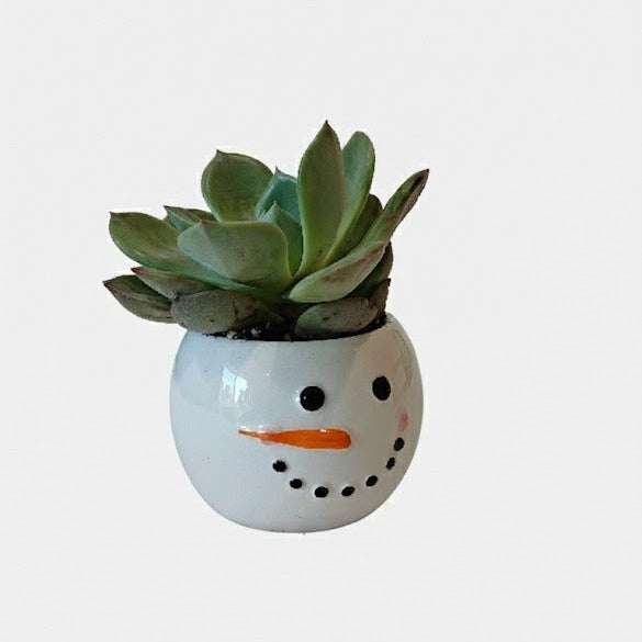 2 inch potted succulents Tiny Tot Snowman Planter with Live 2-inch Succulent | Mini Holiday Gift