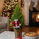 Scented holiday plant gift, Buy mini Santa Christmas tree online, Lemon Cypress Cone Mini Christmas Tree with Mr. Claus decoration