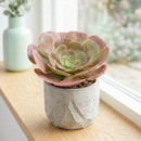 Custom plant pot with personalized image, personalized flower pot with live plant, custom photo plant pot, personalized planter with plant of your choice, custom printed ceramic planter, personalized succulent pot, custom image flower pot gift, custom photo planter for houseplants