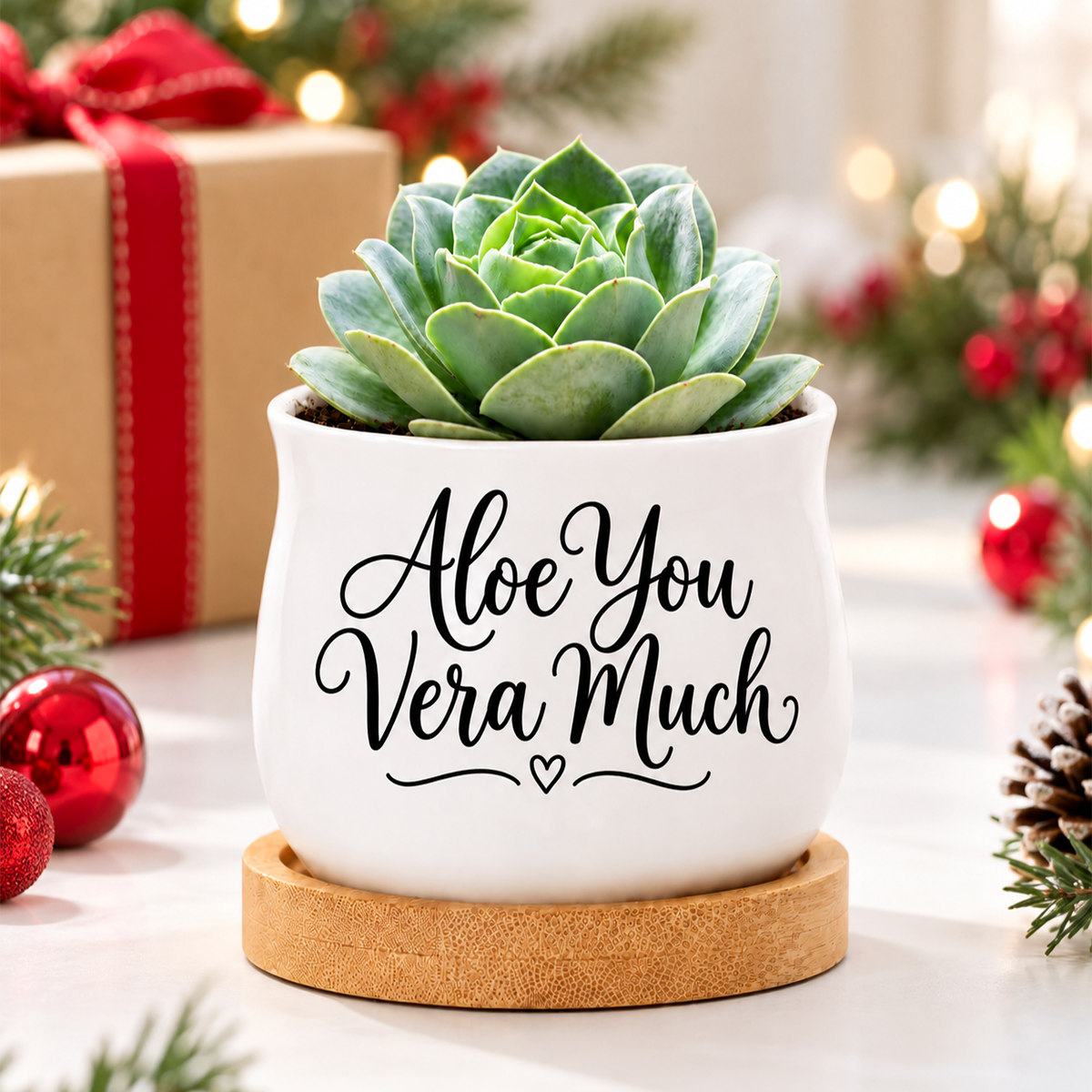 buy Succulent Pot - Aloe You Vera Much online, white glazed ceramic barrel style pot, mini planter with bamboo drainage tray, cute desktop plant holder, ideal gift for plant lovers and decor enthusiasts