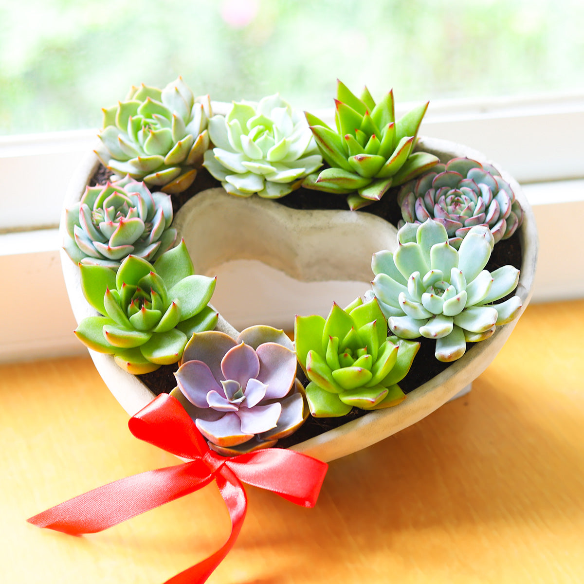 Large Succulent Heart Arrangement, holiday gift, christmas gift 2025