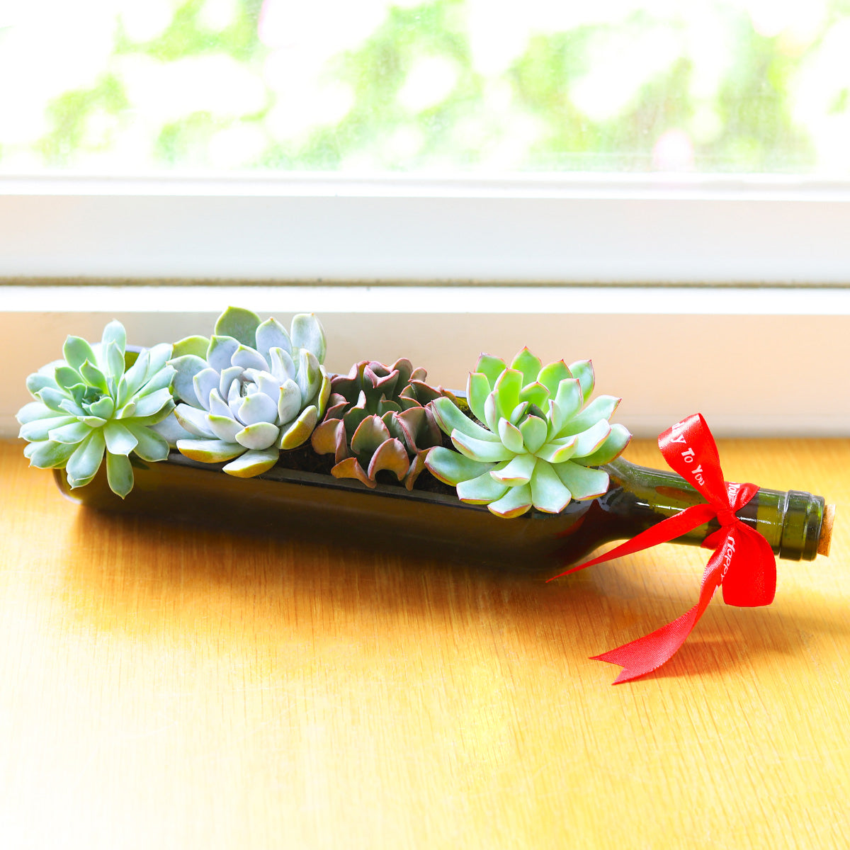 succulent wine stopper Succulent Wine Bottle Arrangement