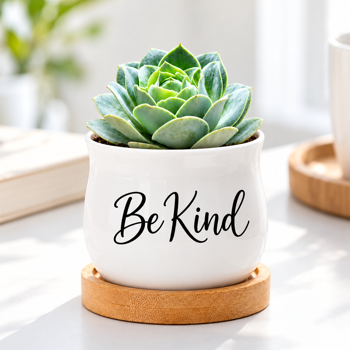 buy succulent pot - be kind online, white glazed ceramic mini barrel planter, includes natural bamboo drainage tray, perfect small gift