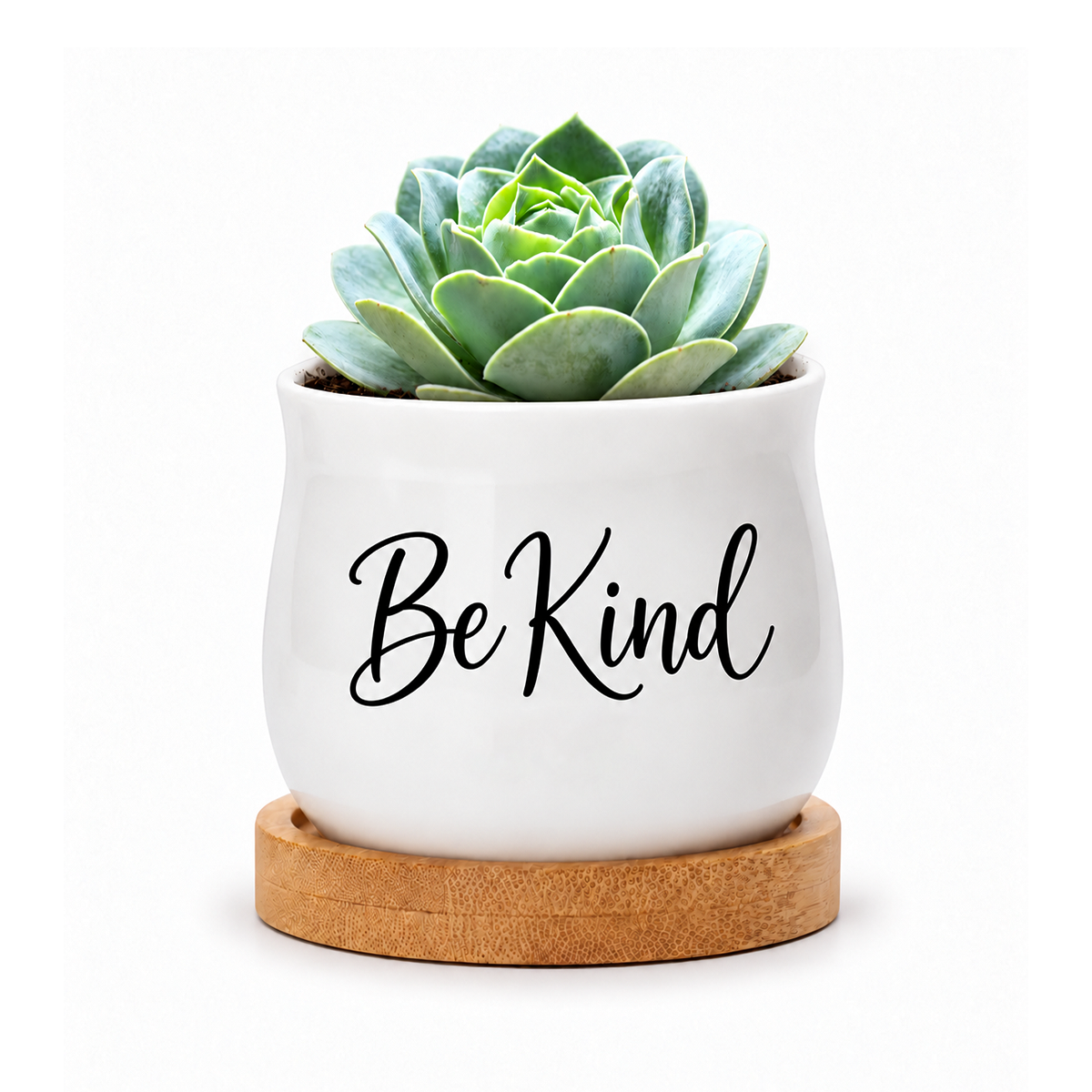 buy be kind succulent pot today, tiny white decorative planter with bamboo tray included, charming botanical accessory, great housewarming gift