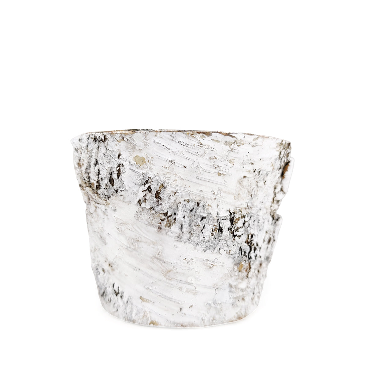 Buy Birch Pot with Zinc Online, Natural Birch Bark Covered Zinc Planter Pot, White Birch Bark with Zinc, Small Birch Pot with Zinc, Birch Pot with Zinc 3.75&quot; x 3&quot;, Succulent Planter