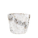 Birch Pot with Zinc, Natural Birch Bark Covered Zinc Planter Pot, White Birch Bark with Zinc, Small Birch Pot with Zinc, Birch Pot with Zinc 3.75&quot; x 3&quot;, Rustic Designed Birch Pot with Zinc