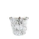 Birch Pot Small Size for Sale Online, Decorative Succulent Planter for Home Office Decor, Succulent Airplant Display Ideas