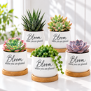 buy succulent pot bloom where you are planted online, mini barrel style ceramic planter, white glazed finish with uplifting quote, perfect for a small succulent or tea light display, charming gift for home or office