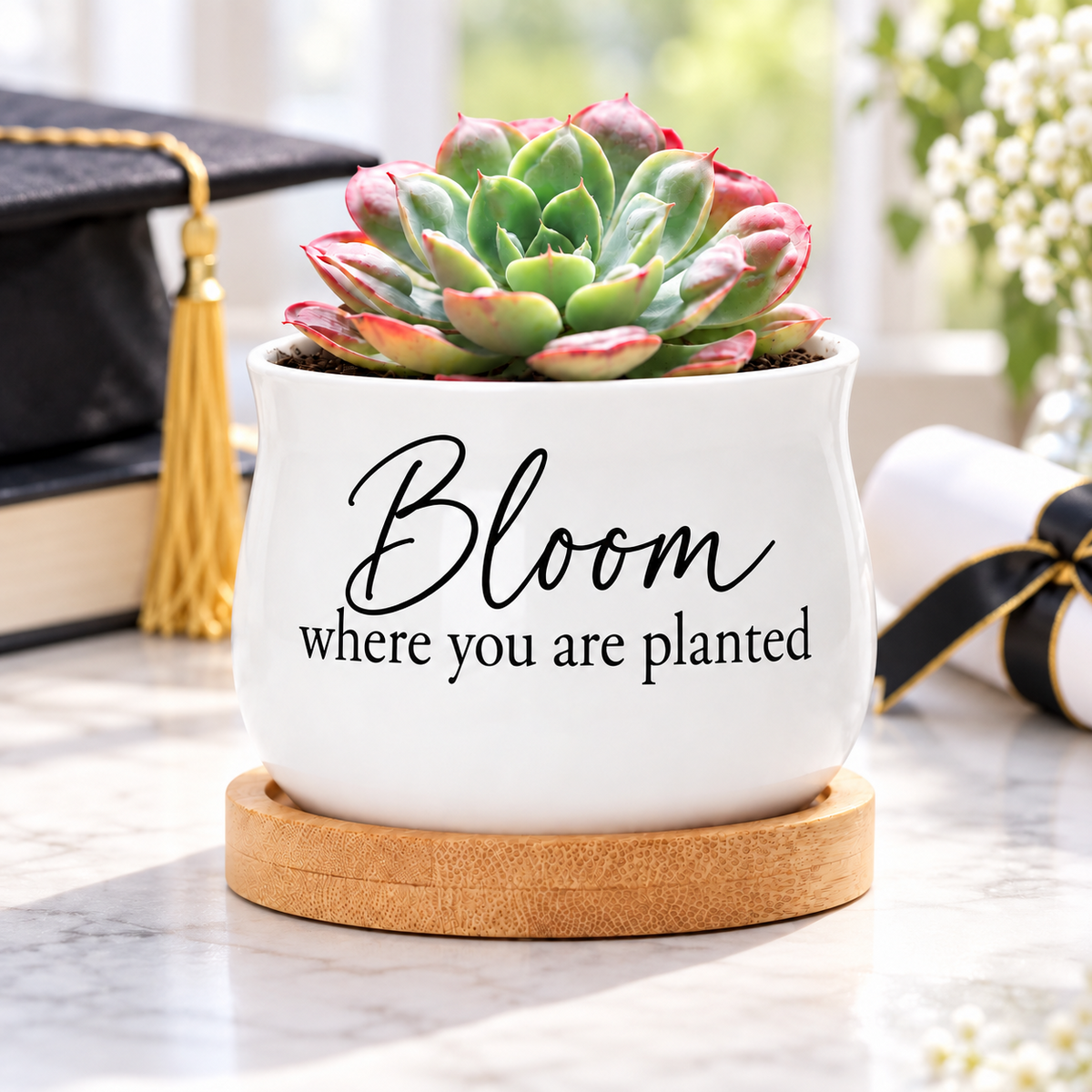buy succulent pot bloom where you are planted online, white glazed ceramic barrel shape, bamboo drainage tray included, miniature desk planter, thoughtful gift for plant lovers