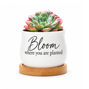 buy succulent pot bloom where you are planted online, mini barrel style ceramic planter, white glazed finish with uplifting quote, perfect for a small succulent or tea light display, charming gift for home or office