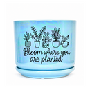 Iridescent Blue Ceramic Pot - Bloom Where You Are Planted