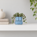 modern navy Boobie Airplant Holder for sale, sleek concrete navy color contemporary design shelf accent, ideal for small spaces, a unique present for plant lovers.