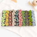 Bulk Assorted Succulents for sale, buy bulk succulents assortment online for events, large succulent order for event decoration plants, succulents bulk pack for florist and event planners, bulk succulents for classroom or workshop projects, bulk mixed succulents for propagation and growing