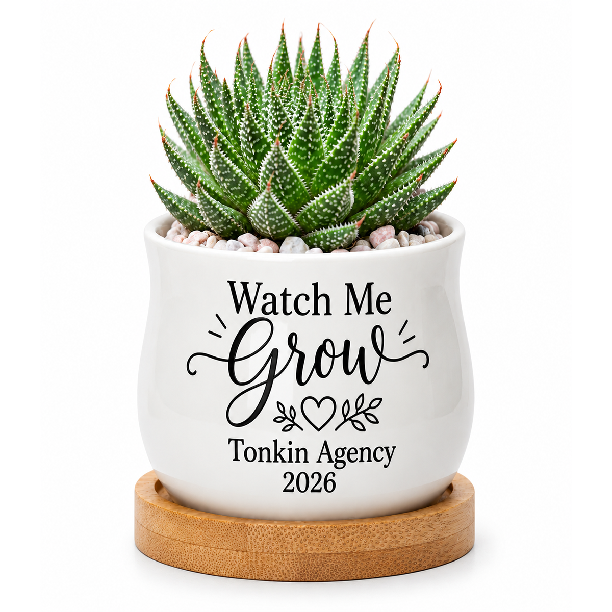 buy personalized succulent pot for corporate favor watch me grow online, miniature white ceramic planter, custom name and date printing, desktop plant container for office gifts