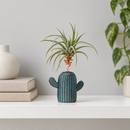 charming cactus air plant stand for sale, mini size, soft lavender colored pot, whimsical design, smooth matte finish, compact footprint, excellent for adding a pop of color to shelves, perfect birthday gift for plant enthusiasts