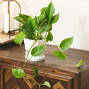 white decorative ceramic pot, pot with saucer and drainage hole, stylist pot for houseplants