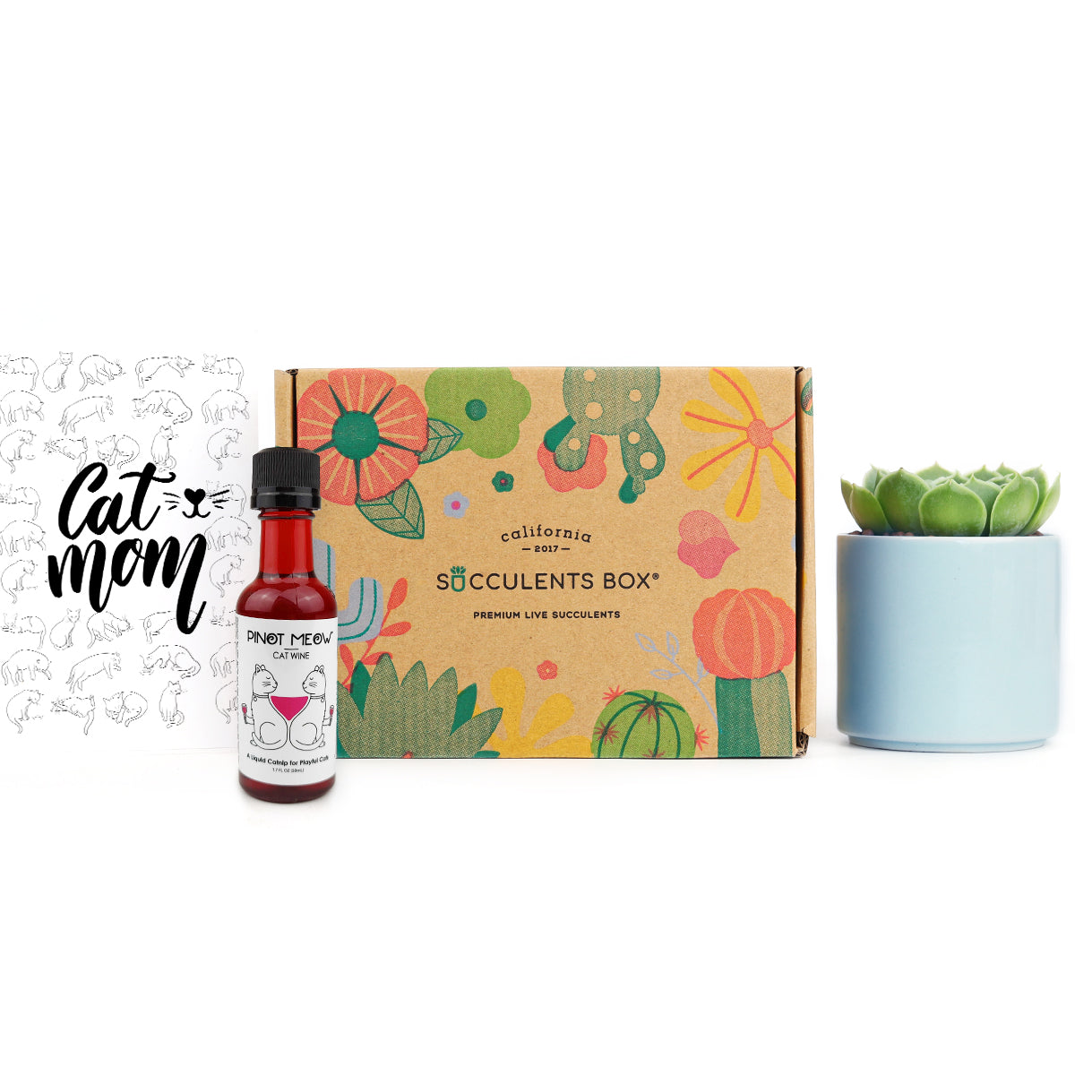 pet-friendly gift box, gift box for pets, succulents gift box, gift box for pet owners, cat wine, greeting card for pet lovers, buy succulent as gift 2025