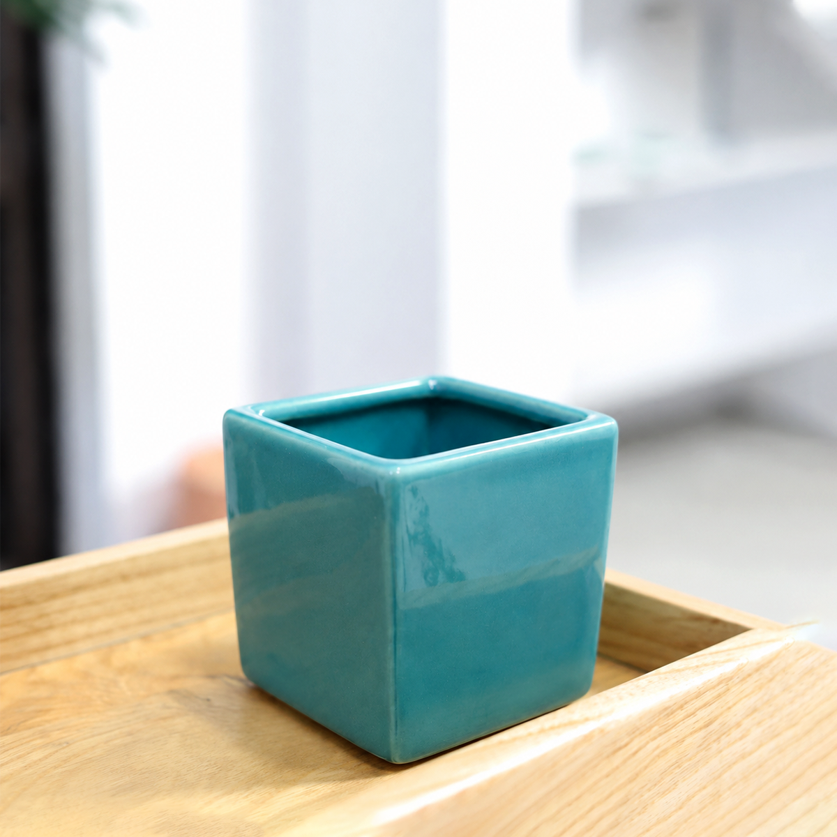 naranja orange ceramic color cube container live plant for sale, vibrant warm naranja orange glazed ceramic cube planter, 3 inch square form with colorful pop of sunset hue, perfect for compact bromeliads or tillandsia air plants, architectural geometric silhouette pairs with trailing or upright foliage, cheerful workspace or windowsill accent, ideal tropical-inspired gift for plant lovers