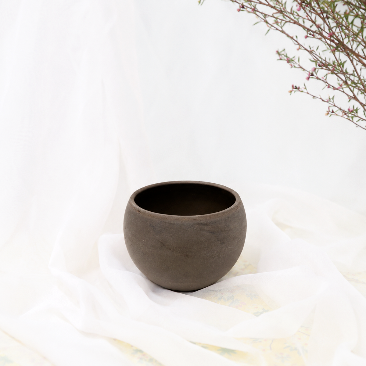 buy charcoal clay container live air plant 4 inch online, thrives under office led grow lights with minimal natural sunlight, delicate foliage sensitive to direct air from ac units and heating vents, flourishes in humid kitchen environments near steam and moisture, summer-ready plant that transitions beautifully outdoors for seasonal growth, perfect modern desk plant display, unique air plant gift idea for office and kitchen spaces