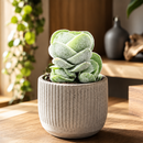 Custom plant pot with personalized image, personalized flower pot with live plant, custom photo plant pot, personalized planter with plant of your choice, custom printed ceramic planter, personalized succulent pot, custom image flower pot gift, custom photo planter for houseplants