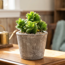 Custom plant pot with personalized image, personalized flower pot with live plant, custom photo plant pot, personalized planter with plant of your choice, custom printed ceramic planter, personalized succulent pot, custom image flower pot gift, custom photo planter for houseplants