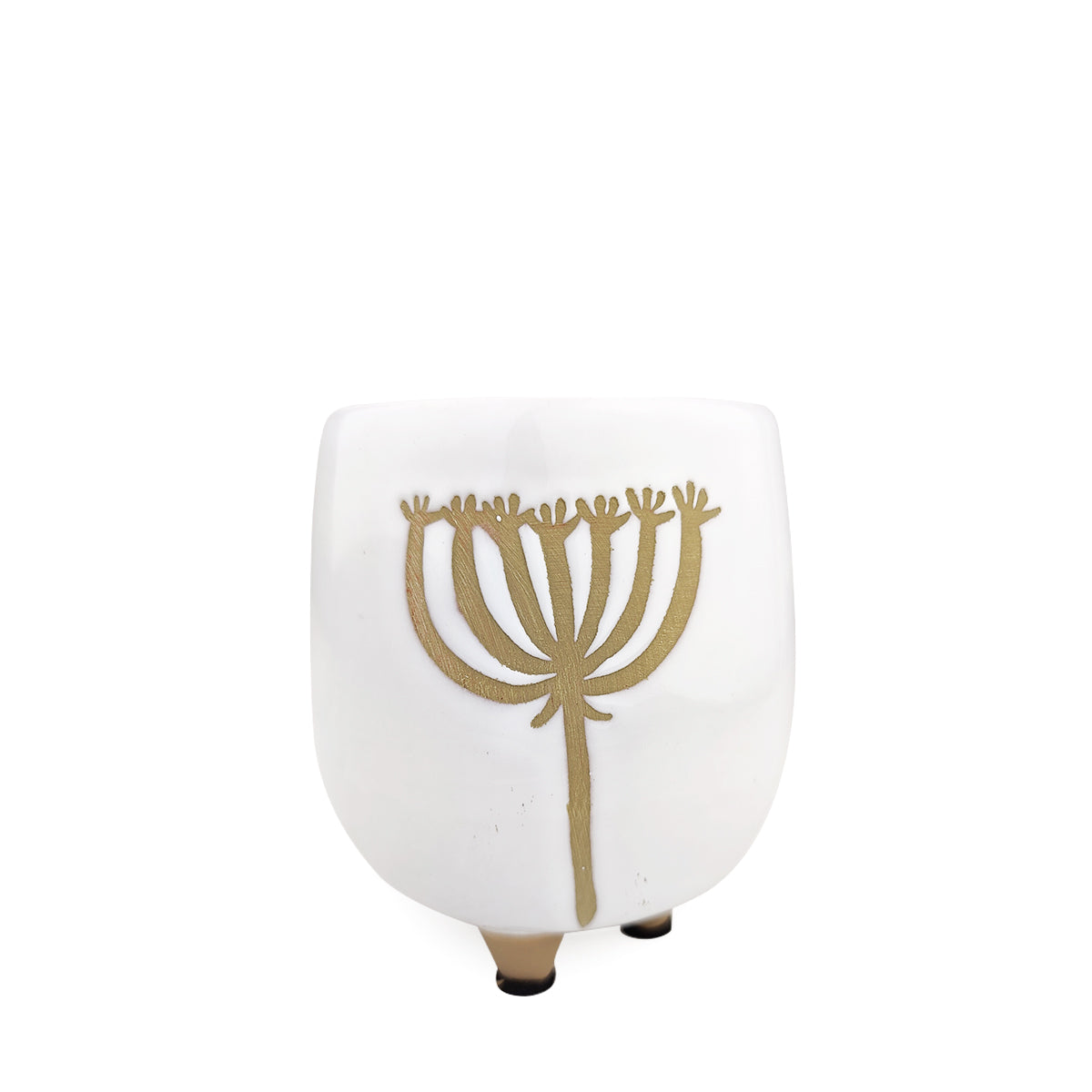 Find the perfect pot for your succulent plants at Succulents Box, variety of ceramic planters for sale online