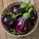 Black Beauty Eggplant, Black Beauty Eggplant, garden vegetable plants