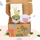 Mother's Day plant and coaster set, Sentimental gifts for plant-loving mothers, Small indoor plant gift set for her, Low-maintenance desk plant gift box, Aesthetic succulent gift for coffee table decor