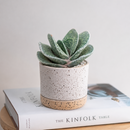 Custom plant pot with personalized image, personalized flower pot with live plant, custom photo plant pot, personalized planter with plant of your choice, custom printed ceramic planter, personalized succulent pot, custom image flower pot gift, custom photo planter for houseplants